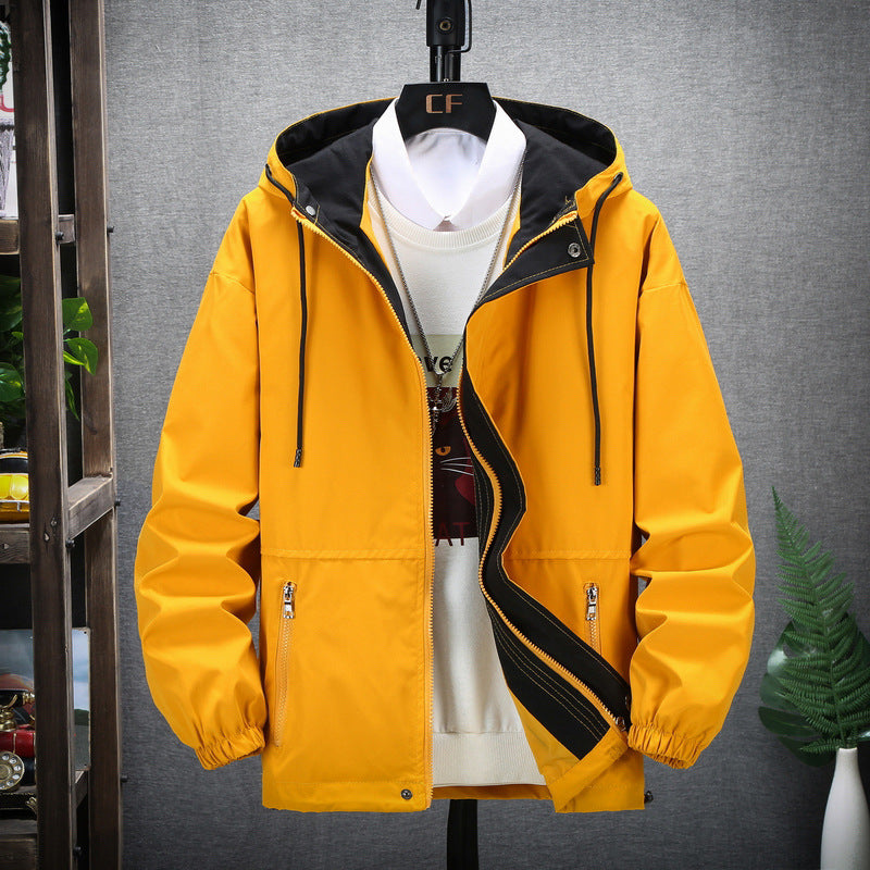 Veste workwear zippée à col montant